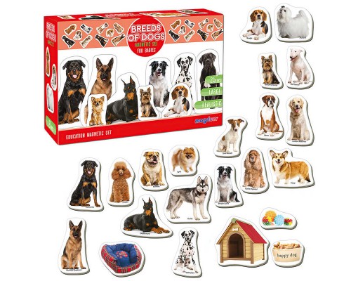 гр Набір магнітів “Породи собак” ML4031-20 EN (24) "Magdum", англ. мова, у коробці