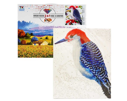 Картина за номерами + Алмазна мозаїка 2в1 YHDGJ 75038 (30) "TK Group", 50х40см, "Зимова пташка", в коробці