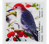 Алмазна мозаїка GB 75038 (30) "TK Group" “Зимова пташка”, 30х40 см, в коробці