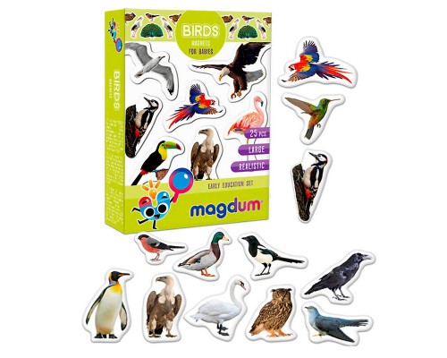 гр Магнітна гра ML4031-30 EN (70) "Magdum", "Birds. Рhoto", англ. мова